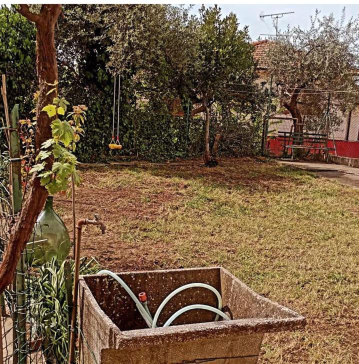 Casa Vacanze Toscana,Lago Di Massaciuccoli Εξωτερικό φωτογραφία