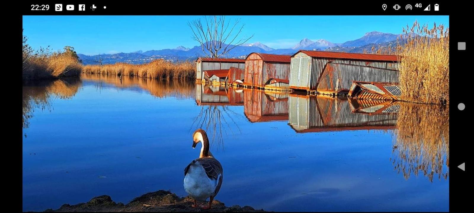 Casa Vacanze Toscana,Lago Di Massaciuccoli Εξωτερικό φωτογραφία