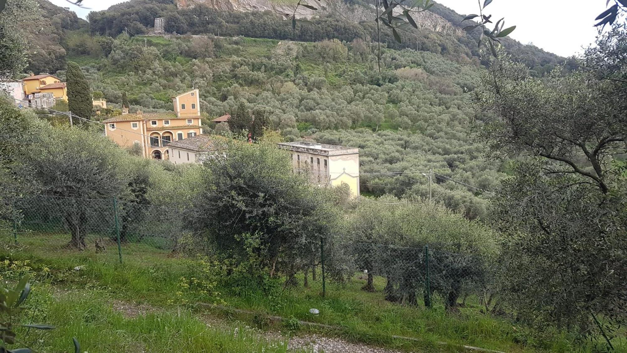 Casa Vacanze Toscana,Lago Di Massaciuccoli Εξωτερικό φωτογραφία