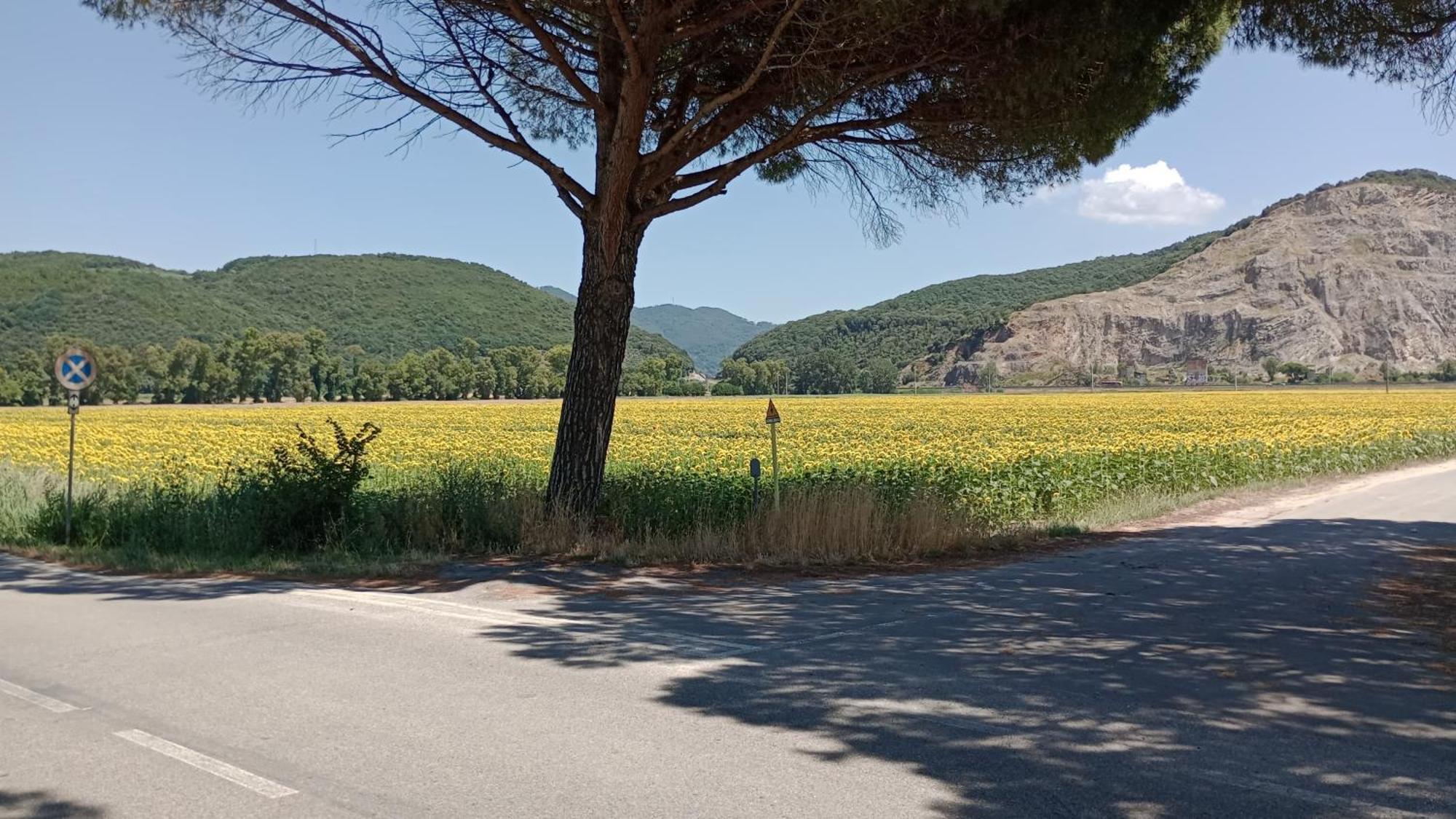 Casa Vacanze Toscana,Lago Di Massaciuccoli Εξωτερικό φωτογραφία